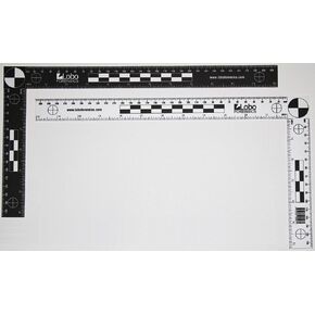 Fractional Bureau Scale for measuring and forensic photography designed in the USA