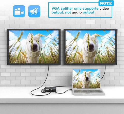 مقسم فيديو VGA مزود بمنفذين مع محول تيار متردد 1 إلى 2 ناسخ VGA يدعم دقة 1920X1440 وعرض النطاق الترددي 220 ميجاهرتز لتكرار الشاشة in Kuwait