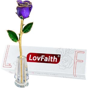 LovFaith Silver Dipped Real Rose, Best 25th Anniversary Silver Gift for Wife Mom Her, with High-end Crystal Stand