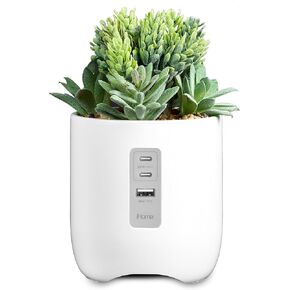 iHome PowerPlant Charging Station, Faux Succulent with USB Charging Station for iPhone, Android, and More – White (iPP45)