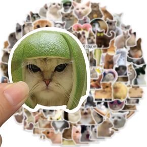 200 Pcs Funny Cat Meme Stickers, Cute Vinyl Waterproof Stickers, Personalizing Stickers for Bicycle, Notebooks, Stationery, Laptop, Water Bottles
