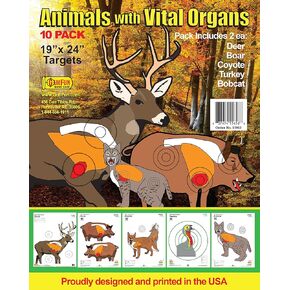 Animals with Vital Organs Series - 19" x 24" 10 Pack
