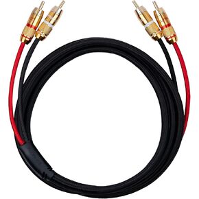 Fluance HiFi Stereo RCA Cable, 2-Male to 2-Male, Gold Plated Color-Coded Connectors for Preamp, CD Player, Turntable, Amplifier, Gaming Console, Home Theater, and Hi-Fi System - 6 Feet