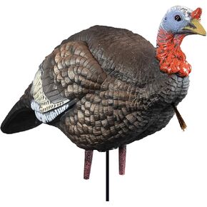 Higdon Outdoors 1/4 Strut Jake Turkey Decoy لجذب الدجاج ، Toms ، Gobblers & Jakes أثناء صيد تركيا
