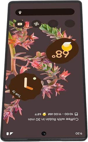 Google Pixel 6 5G عرض أرقام الشاشة الاستبدال ، شاشة تعمل باللمس مع مستشعر بصمات الأصابع ، دقة عالية ، إصلاحات الإصلاح مع الأدوات in Kuwait