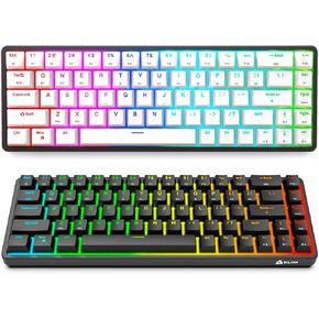 KLIM Shift Wireless Mechanical Keyboard 60% + Hotswap, RGB, Extra 69 keycap Set Backlit Mini 2.4Ghz & Bluetooth Percent Gaming PC Gamer Win/Mac New 2022, Black or White (Renewed)