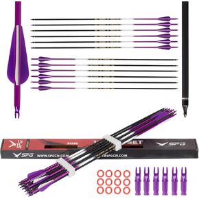Archery 31Inch Carbon Arrow, Hunting and Target Practice Arrows Spine 500 with Removable Tips for Compound & Recurve Bow Shooting (Pack of 12) (Mysterious Purple)