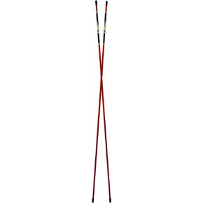 A Swing Alignment Rods 2-Pack by David Leadbetter (MoRodz)