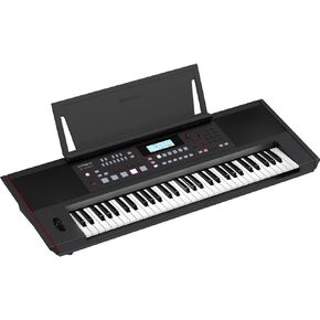 Roland E-X50 Electronic Arranger Keyboard – Easy-to-use | Stereo Speakers | Bluetooth | Professional Sounds | Mic Input | Auto-Accompaniment Function, Black