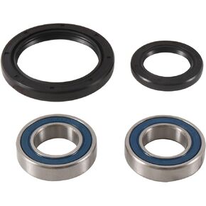 All Balls Racing 25-1753 Wheel Bearing Kit Front Compatible with/Replacement for Suzuki DR-Z 400 2000-2003, DRZ400SM, DRZ400S 2017, DR-Z 400 SM 2005-2016, DR-Z 400 S 2000-2016, DR-Z 400 E 2000-2007