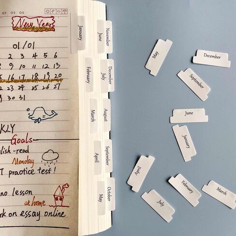 Laminated Planner Monthly Tabs, 40 Peel and Stick Tabs for Notebooks (2 Sets 12 Month Tabs and 16 Blank Tabs), Calendar Monthly Tab Stickers/Dividers (White) in Saudi Arabia