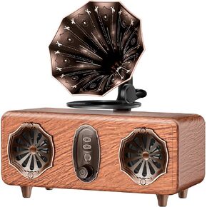 Retro Bluetooth Speaker Retro Radio with 5.4 Bluetooth Version, FM Radio, Bass Vintage Wireless Speaker Support USB/TF/AUX Player for Home Office Room Bedroom, Decorations