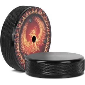 Vinyl Record Weight Stabilizer,278g/9.8oz Aluminum Alloy Turntable Weight for HiFi LP Record Player (Black)