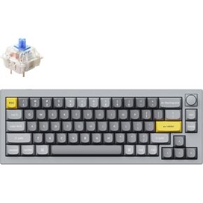 Keychron Q2 Swappable RGB Backlight Brown Switch Knob Version - Grey -Special Color