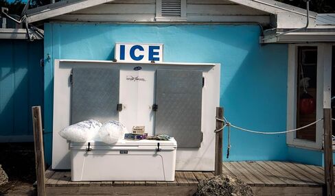 Yeti Tundra 250 مبرد ، أبيض in Kuwait