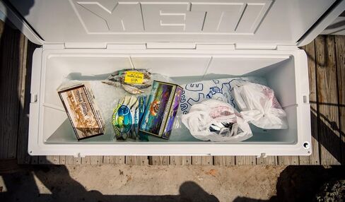 Yeti Tundra 250 مبرد ، أبيض in Kuwait