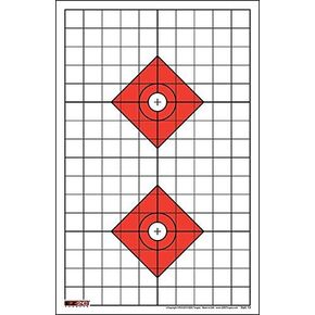 EZ2C Targets Style 13 (25 Pack) High Visibility Rifle Sight in Target with 1" Grids