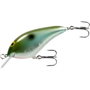 NMSN406 Speed N Crankbait - Olive/Blue (2-3/4 Inch, 1/2oz)