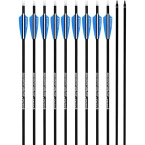 Archery 30Inch Carbon Practice Hunting Arrows with Removable for Youth Compound & Recurve Bow Target (Pack of 12)