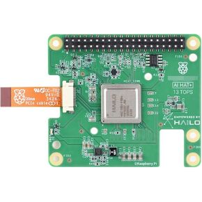 Official RPi AI HAT+, Build-in 13 Tops Hailo-8 AI Accelerator to Quickly Build A Wide Range of AI-Powered Applications