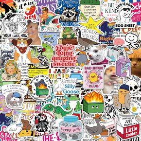 150 Pcs Funny Stickers for Adults Funny Water Bottles Stickers Pack Waterproof Cool Stickers for Laptop, Bumper, Phone, Hard Hats, Wall, Window Decals Decors, 150 Styles