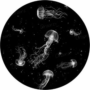 Slide Discs for Orzorz Star Projector Galaxy Plus Home Planetarium Projector (Work with Orzorz Star Projector Plus) (Jellyfish)