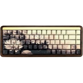XVX Double Shot PBT Keycaps, Chrysanthemum Keycaps, Side Printed Shine Through Keycap Sets, Cherry Profile Keyboard Caps with Dye Sublimation Suitable for MX Switches Mechanical Keyboard