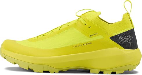 Arc'teryx Vertex Alpine GTX Shoe Men's | Fast and Light Gore-Tex Approach Shoe - Redesign in Saudi Arabia