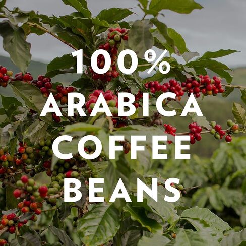 Community Coffee Café SPECIAL BLEND 64 أونصة ، القهوة الأرضية المتوسطة الداكنة ، 32 أونصة (حزمة 2) in Saudi Arabia
