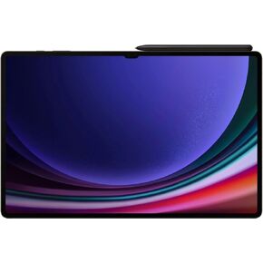 Galaxy Tab S9 Ultra WiFi Gray