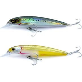 LOGOFUN 2Pcs Fishing Lures Top Water and Deep Sea Bass Fishing Lure for Freshwater and Saltwater Swim Bait 3D Holographic Laser Floating Lure Angling Fishing Gear, 4.7 Inch, 0.8 oz, SW-120F