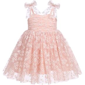 Tutu Dress for Baby Girls, 1/2 Birthday Outfit Girls, Princess 1st Birthday Dresses Toddler Bowknot Sleeveless Smoked Dresses Baby Pageant Spring Summer Dress Photographs Pink Colorful 3-4T