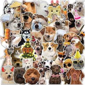 Meme Dog Stickers, 109 PCS Funny Dog Stickers, Cute Dog Stickers, Meme Holographic Dog Stickers for Party Favors, Dog Stickers Waterproof Vinyl for Water Bottles