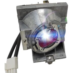 A+ Quality RLC-114 Replacement Projector Lamp Bulb with Housing Compatible with ViewSonic PG703X