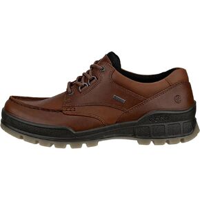 ECCO Men's Track 25 LOW GORE-TEX PROOTPROOK HIKE SHOE