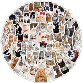 206 PCS Cute Meme Cat Stickers for Water Bottle Journaling Scrapbook Laptop Guitar Phone Suitcase Skateboard Waterproof Vinyl Decal Gifts for Kids Teens Girls Women Adult