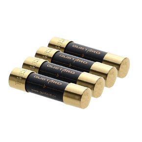 Gustard HiFi Fuse 630mA Sound Protection Fuse for Gustard U16 U18 C16 C18 X16 X18 A18 H16 DAC Decoder Audio Power Safety Protect