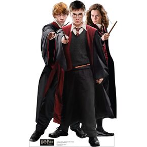 Cardboard People Harry Potter Life Size Cardboard Cutout Standup - Harry Potter and The Order of The Phoenix