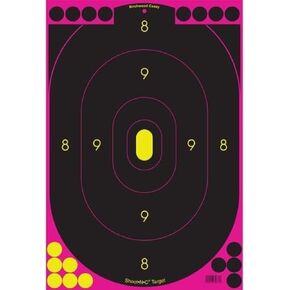 Birchwood Casey Shoot N C Pink Targets 12X18