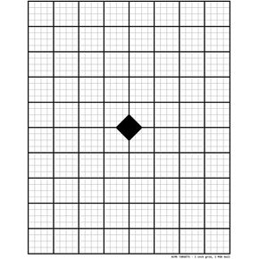 Rifle Target Pad, 1 inch Grid, 100 Sheets in a pad