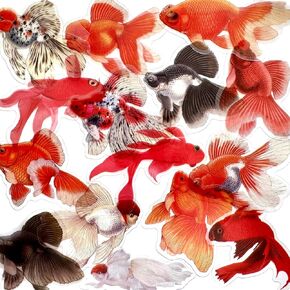 30PCS Fish Stickers Self-Adhesive Transparent Decorative Stickers for Scrapbooking Supplies, Waterproof Clear Decals Pack for Laptop Skateboard Motorcycle Luggage Guitar Bicycle
