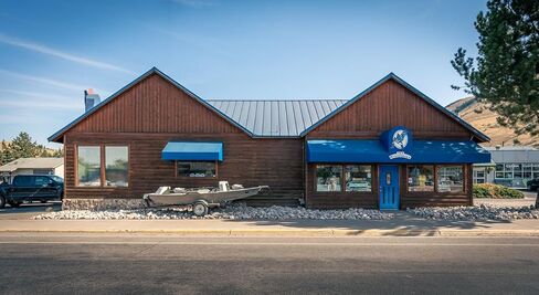 Kingfisher يطير ربط أداة ربط الشعر بتعليق الشعر in Kuwait