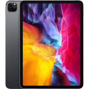 iPad Pro 11in (2nd Gen.) - 256GB - WiFi - Space Gray (Renewed Premium)
