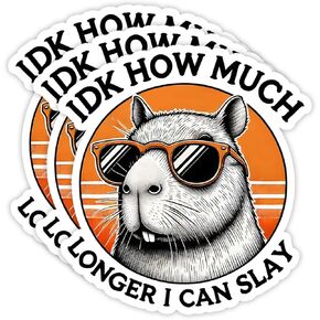 (3Pcs) IDK How Much Longer I Can Slay Sticker 3'' Capybara Funny Animal Lovers Vinyl Decal Waterproof Laptops Water Bottles