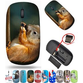 maizi Wireless .Mouse for Laptop Chromebook Computer, Wireless .Mice Image ID: 26282309 Red Squirrel on birdh 2.4G Portable with USB Receiver Made in The USA