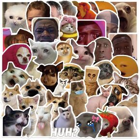 50PCS Funny Meme Stickers,Funny Stickers,Vinyl Waterproof Stickers for Water Bottles Laptop Computer Phone Case