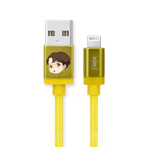 BTS Character Cables TinyTAN MFI Certified USB Cable Compatible with iPhone 15/Pro/Pro Max/iPad Charger (Type MFI Cable_J-Hope)