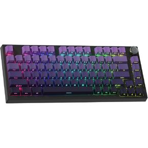 COSTOM WK75 75% Wireless Gaming Mechanical Keyboard,BT5.0/2.4GHz/USB-C, Hot Swappable Pre-lubed Custom Linear Switches,Gasket Structure,RGB Backlit Keyboard for PC/Laptop/Xbox/PS4/PS5 (Purple)