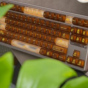 mintcaps Transparent Keycaps - Clear Keyboard Keycaps PC Cherry Profile Brown Keycap Set 153 Keys Shine Through Key Cap for Cherry Gateron Mx Switches Mechanical Keyboard