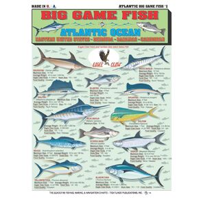 Atlantic Ocean Big Game Fish Identification #1 Eastern United States, Bermuda, Bahamas, Caribbean Waterproof Quick Reference Guide | Portable & Built to Last | Double-Sided & Easy to Read
